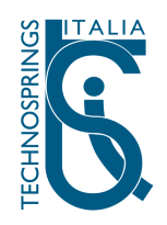 Technosprings Italia srl